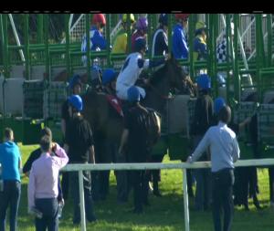 Video preview image for Cork 18:30 - Cork Racecourse Fillies Maiden