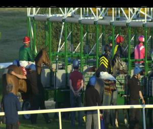 Video preview image for Cork 20:40 - Irish Stallion Farms European Breeders Fund Median Auction Fillies Maiden