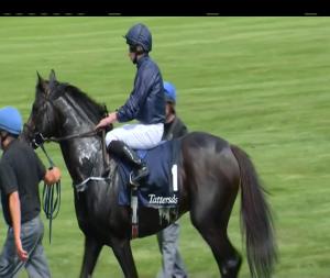 Video preview image for Curragh 14:25 - Tattersalls Gold Cup (Group 1)