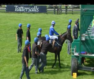 Video preview image for Curragh 16:10 - Tattersalls Irish 2000 Guineas (Group 1)