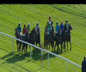 Video preview image for Downpatrick 18:15 - Apple Recruitment Services Handicap Hurdle 