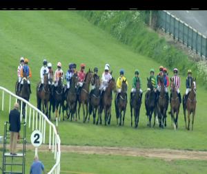 Video preview image for Down Royal 17:30 - Proparamedics Maiden Hurdle