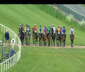 Video preview image for Down Royal 18:05 - Eventsec Handicap Hurdle