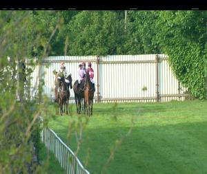 Video preview image for Down Royal 19:35 - French Village Catering Rated Novice Chase