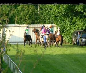 Video preview image for Down Royal 20:05 - Kaizen Brand Evolution Handicap Chase