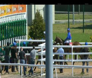 Video preview image for Dundalk 14:30 - Sean Judge Memorial Handicap 