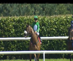 Video preview image for Dundalk 15:05 - Lmfm Fillies Maiden