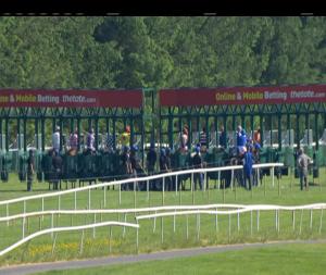 Video preview image for Gowran Park 16:45 - Gowran Park Golf Club (C & G) Maiden 