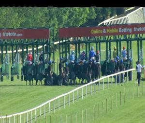 Video preview image for Gowran Park 17:15 - Irish Stallion  Farms European Breeders Fund Fillies Handicap