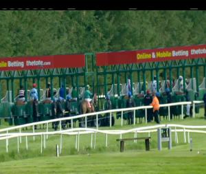 Video preview image for Gowran Park 17:35 - Thomastown Maiden
