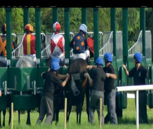 Video preview image for Gowran Park 18:25 - Thomastown Handicap