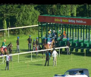 Video preview image for Gowran Park 18:45 - Irish Stallion Farms European Breeders Fund Victor McCalmont Memorial (Listed)
