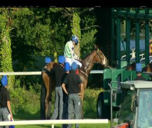 Video preview image for Gowran Park 19:15 - Gowran Park Golf Open Singles Handicap