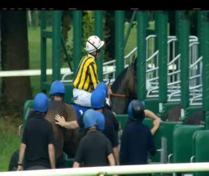 Video preview image for Gowran Park 19:30 - Ladies Day June 23rd Fillies Rated 