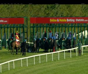 Video preview image for Gowran Park 20:05 - Irish Stallion Farms European Breeders Fund Fillies Handicap