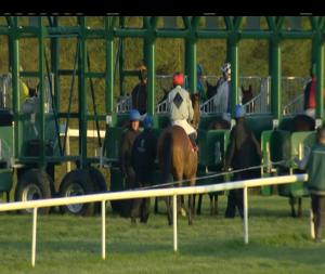 Video preview image for Gowran Park 20:35 - Goresbridge Breeze Up Sale May 24th & 25th Handicap