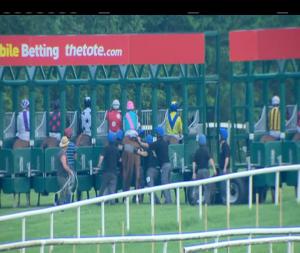 Video preview image for Gowran Park 21:00 - Gowran Park Fillies Maiden 