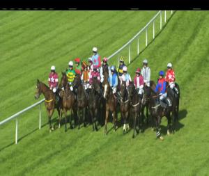Video preview image for Kilbeggan 17:35 - Midland Veterinary (Tullamore) Ltd. Maiden Hurdle