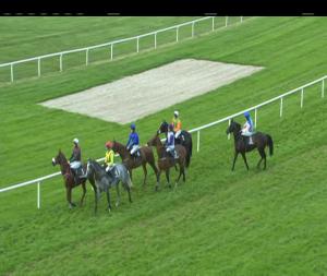 Video preview image for Kilbeggan 19:10 - Midland Veterinary (Tullamore) Ltd. Novice Hurdle