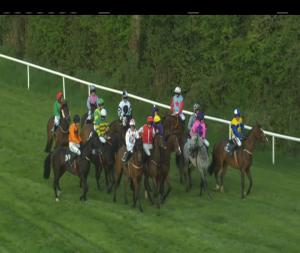Video preview image for Kilbeggan 19:45 - Midland Veterinary (Tullamore) Ltd. Beginners Chase
