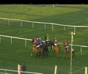 Video preview image for Kilbeggan 20:45 - Midland Veterinary (Tullamore) Ltd. (Pro/Am) I.N.H. Flat