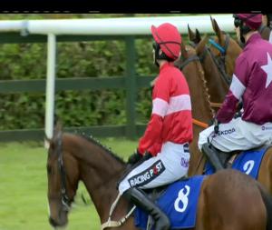 Video preview image for Killarney 14:20 - Killarney Oils Mares Hurdle (Listed)