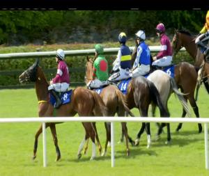 Video preview image for Killarney 15:25 - Irish Stallion Farms European Breeders Fund Beginners Chase