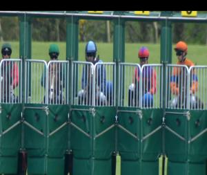 Video preview image for Killarney 17:40 - Irish Stallion Farms European Breeders Fund Median Auction (C & G) Maiden 