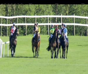 Video preview image for Killarney 19:10 - Beaufort Golf Club An Riocht Chase (Grade 3)