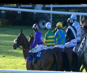 Video preview image for Killarney 19:40 - Laurels Pub & Restaurant Killarney National Handicap Chase 