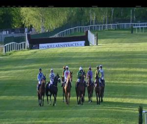 Video preview image for Killarney 20:10 - Dan Linehan's Bar and B & B Hunters Chase 