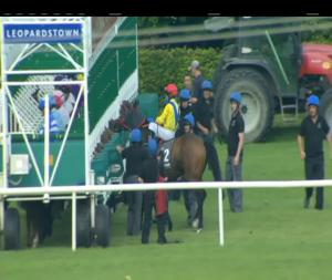 Video preview image for Leopardstown 18:55 - Microsoft Ireland Handicap 