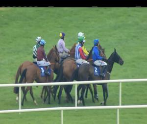 Video preview image for Limerick 16:35 - Irish Stallion Farms European Breeders Fund Mares Chase