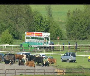 Video preview image for Naas 17:05 - Coolmore Zoffany Irish European Breeders Fund Tetrarch Stakes (Listed)