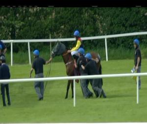 Video preview image for Navan 17:20 - navanadventuresports.ie and Multiactivity Pack Maiden