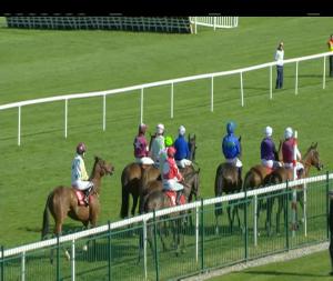 Video preview image for Punchestown 17:45 - Panoramic Restaurant Handicap Chase