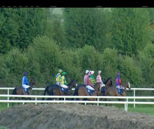 Video preview image for Roscommon 20:10 - myitdepartment.ie Handicap Chase