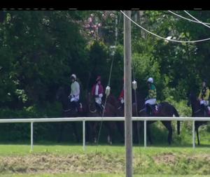 Video preview image for Sligo 13:40 - Duke and Duchess Of Cornwall Mares Maiden Hurdle