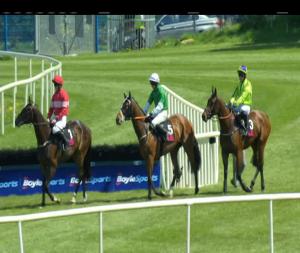 Video preview image for Sligo 14:15 - Taylor Contruction and Civil Works Hurdle