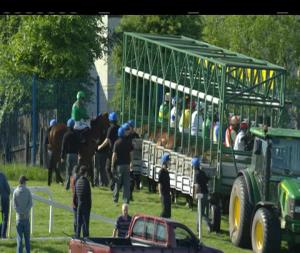 Video preview image for Sligo 17:50 - Foleys Bar & Off Licence Sligo Maiden