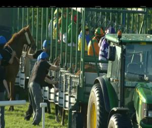 Video preview image for Sligo 19:20 - www.countysligoraces.com Handicap