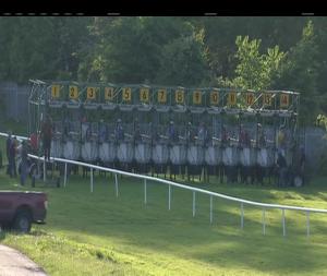 Video preview image for Sligo 19:50 - Hyundai Santa Fe Handicap