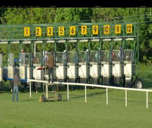 Video preview image for Sligo 20:20 - Sligo Races Hospitality Handicap