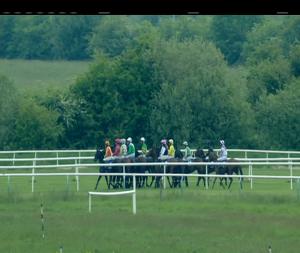 Video preview image for Tipperary 18:20 - Follow Us On Facebook Handicap Hurdle (Div 2)