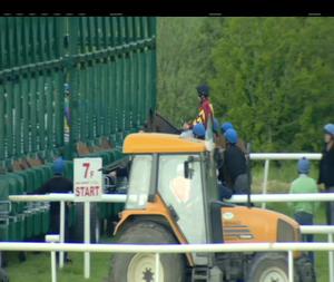 Video preview image for Tipperary 18:55 - Ballykisteen Handicap 