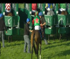 Video preview image for Tipperary 19:25 - tipperaryraces.ie Handicap