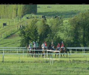 Video preview image for Tipperary 19:30 - Glenview and Rathbarry Stud Novice Hunters Chase 