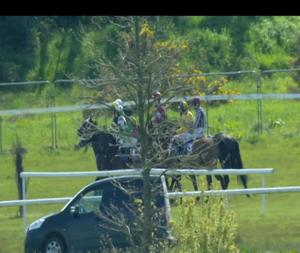 Video preview image for Wexford 15:00 - Coast Hotels & Resorts Rated Hurdle