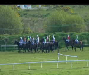 Video preview image for Wexford 16:40 - Building The Future Beginners Chase