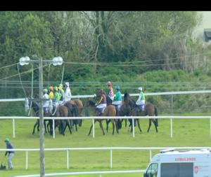 Video preview image for Wexford 17:10 - Bolands Mercedes-Benz Wexford Handicap Chase 